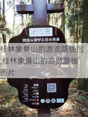 桂林象鼻山的游览路线图,桂林象鼻山的游览路线图片