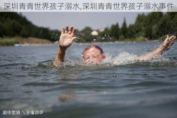 深圳青青世界孩子溺水,深圳青青世界孩子溺水事件