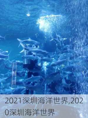 2021深圳海洋世界,2020深圳海洋世界