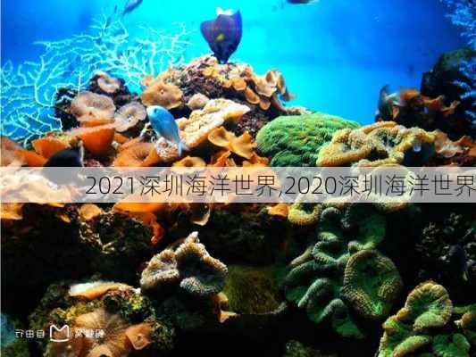 2021深圳海洋世界,2020深圳海洋世界