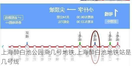 上海醉白池公园乘几号地铁,上海醉白池地铁站是几号线