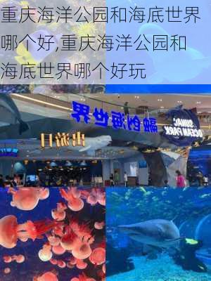 重庆海洋公园和海底世界哪个好,重庆海洋公园和海底世界哪个好玩
